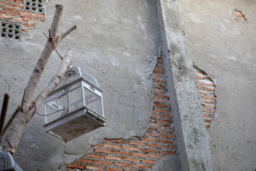 wooden cages for birds and damaged wall of an old barely standing building. Old wall surface is ruptured by time