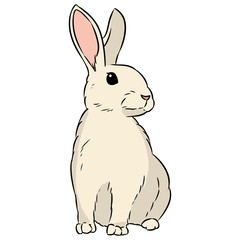Rabbit cute hand drawn lineart isolated doodle
