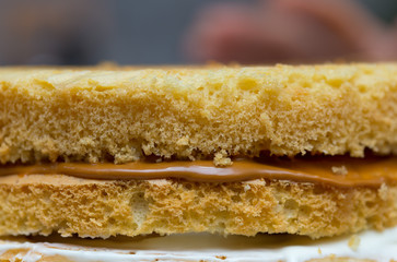 The texture of the cake with milk chocolate cream. Macro shooting
