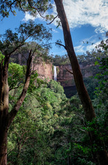 Fototapeta na wymiar Waterfall in distance through trees