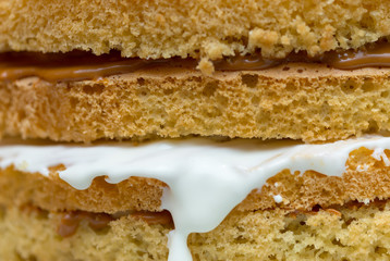 The texture of the cake with milk chocolate cream. Macro shooting