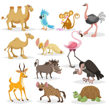 Cute cartoon african animals set.  Dromedary and bactrian camels, parrot, monkey, ostrich, fennec fox, flamingo, warthog, vulture, antelope, hyena, big turtle.