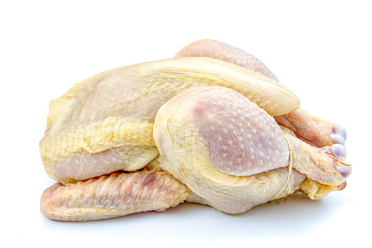 coquelet