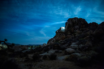 Fototapeta premium Joshua Tree National Park