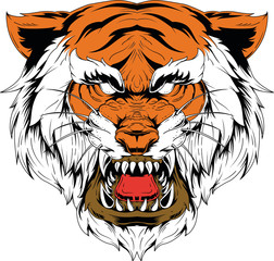 Tiger Head