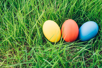 Easter egg on garden grass background,