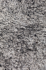Photo of grey design on cement and concrete texture for pattern and background