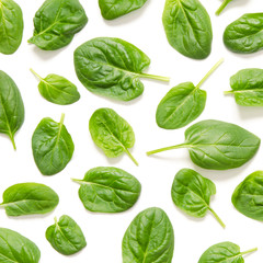 Fototapeta premium Spinach leaves. Fresh Green spinach isolated on a white background