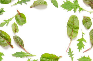 Green leaves of salad mix on white background.