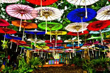 Fototapeta na wymiar Old ancient traditional paper wood umbrella hanging in the tree sky for decoration to celebrate local family gathering festival event in the green garden