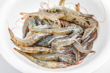 a large bowl of fresh live shrimp