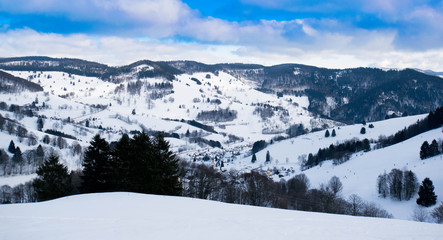 Fototapeta na wymiar Winter auf dem Wiedener Eck im Schwarzwald