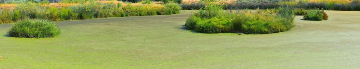 Fototapeta premium Views of Jordan River Trail with surrounding trees, Russian Olive, cottonwood and silt filled muddy water along the Wasatch Front Rocky Mountains, in Salt Lake City, Utah.