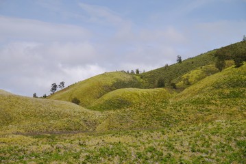 Fototapeta premium Green hill against blue sky with cloud landscape near Bromo Mountain, Java, Indonesia