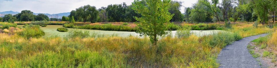 Views of Jordan River Trail with surrounding trees, Russian Olive, cottonwood and silt filled muddy water along the Wasatch Front Rocky Mountains, in Salt Lake City, Utah.