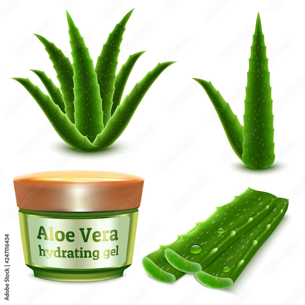Poster aloe icons set. realistic set of aloe vector icons for web design isolated on white background