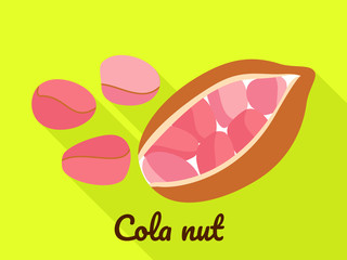 Cola nut icon. Flat illustration of cola nut vector icon for web design