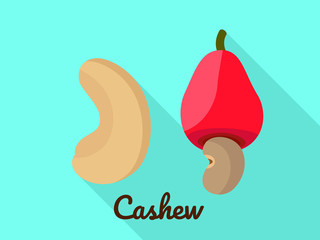 Cashew icon. Flat illustration of cashew vector icon for web design