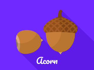 Acorn icon. Flat illustration of acorn vector icon for web design