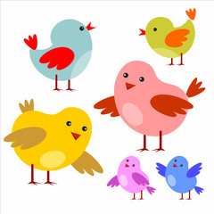 Little cartoon colorful birds