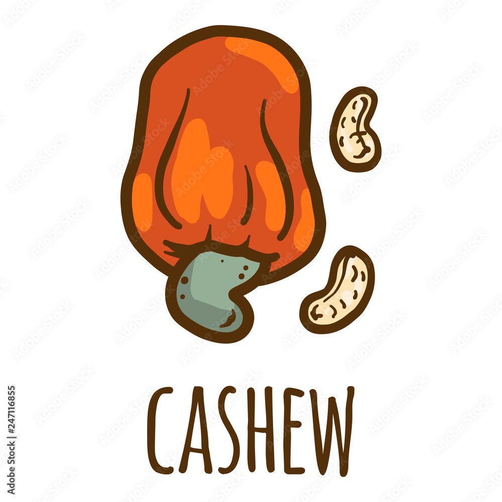 Poster cashew in shell icon. hand drawn illustration of cashew in shell vector icon for web design