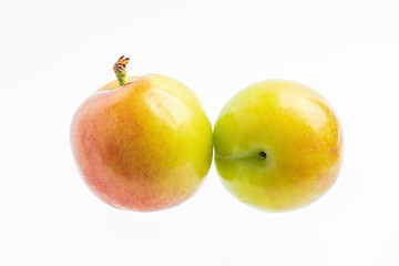 Fresh plums on white background