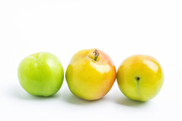 Fresh plums on white background