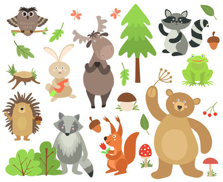 Cartoon forest animals. Elk owl hare raccoon squirrel bear hedgehog frog. Woodland animal vector isolated set