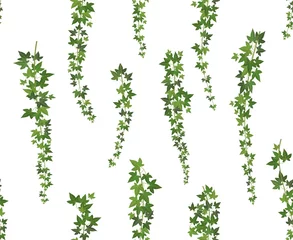 Foto op Canvas Creeper green ivy. Wall climbing plant hanging from above. Garden decoration ivy vines. Seamless background vector illustration © SpicyTruffel