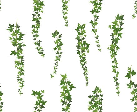 Creeper Green Ivy. Wall Climbing Plant Hanging From Above. Garden Decoration Ivy Vines. Seamless Background Vector Illustration