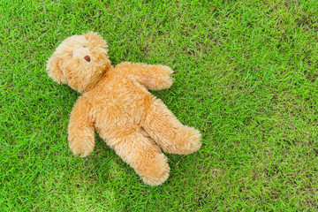 teddy bear on the grass, Teddy bear on the grass., brown stuffed bear lie down on green grass.