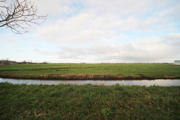 fields and meadows along dyke Hollandsche IJssel river with blue sky and white clouds. The polder behind the dyke is named zuidplaspolder and the lowest area in the Netherlands 