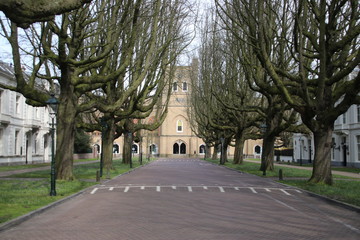 Street named Sophialaan with very special growed trees ending at the former royal horse place of king Willem II