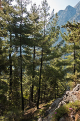 Very high mountain peaks around Samaria gorge, south west part of Crete island, Greece