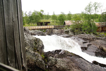 Norwegen im Sommer Rundreise / Vogelinsel Runde
