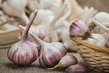 Bulbs and cloves of natural organic garlic on a linen mat and in a homemade basket close up, selective focus
