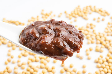 a spoonful of soy sauce / sauce