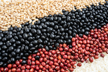 Harvest of whole grain close-up / full screen of cereal beans