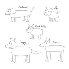 Set of funny cartoon dogs. Hand drawing isolated objects on white background. Vector illustration. quick sketch.