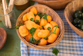 Small or Dwarf orange bell peppers for sale at city farmers market