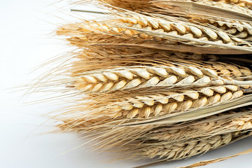 A wheat ear on a white background