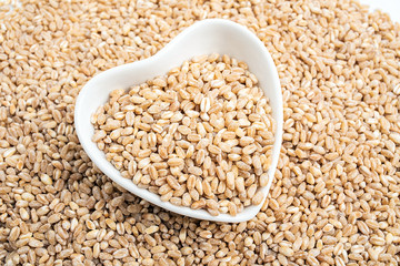 Wheat kernel and wheat ears