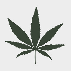 Cannabis Leaf. Vector
