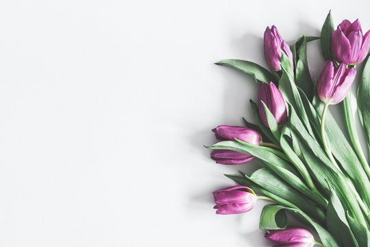 Flowers composition. Purple tulip flowers on pastel gray background. Valentines day, mothers day, womens day concept. Flat lay, top view, copy space