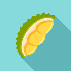 Fresh durian piece icon. Flat illustration of fresh durian piece vector icon for web design