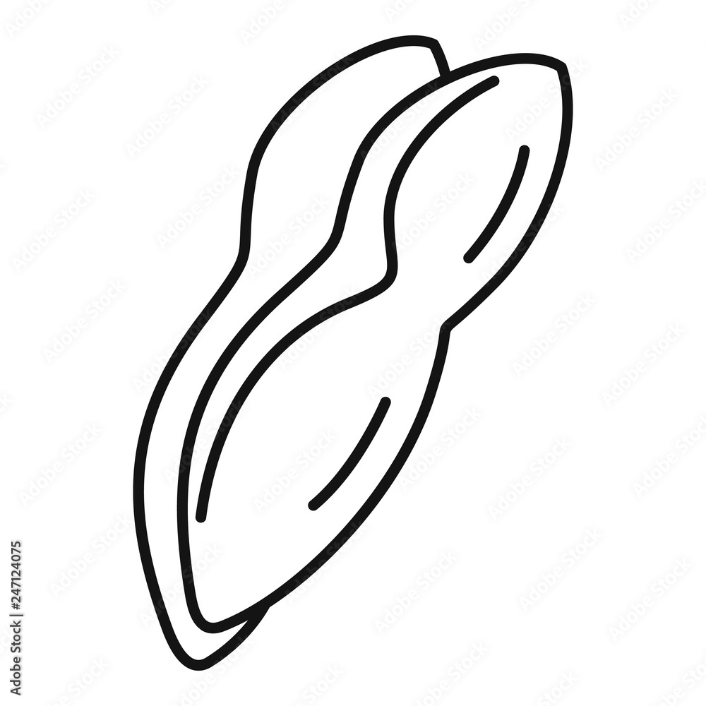 Poster piece durian icon. outline piece durian vector icon for web design isolated on white background