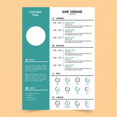 Professional Curriculum Vitae