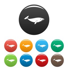 Small whale icons set 9 color vector isolated on white for any design