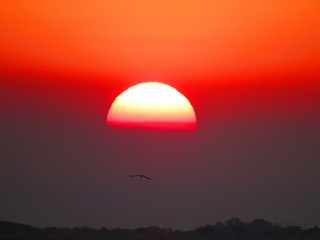sunset over the sea