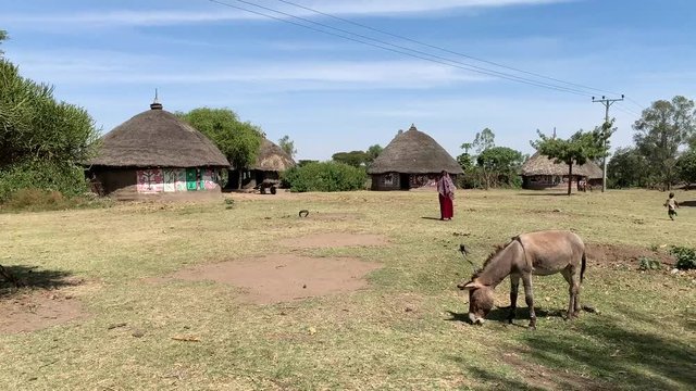 small village at remote areas Ethiopia December 2018 tc01